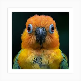 Parrot 12 Art Print