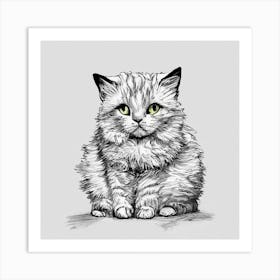 British Shorthair Kitten Art Print