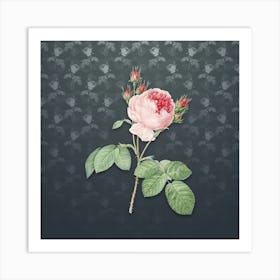 Vintage Pink Cabbage Rose Botanical on Slate Gray Pattern n.0997 Art Print