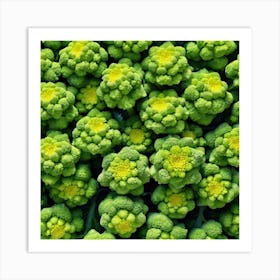 Green Broccoli 1 Art Print