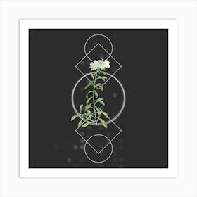 Vintage Small White Flowers Botanical with Geometric Line Motif and Dot Pattern n.0066 Art Print