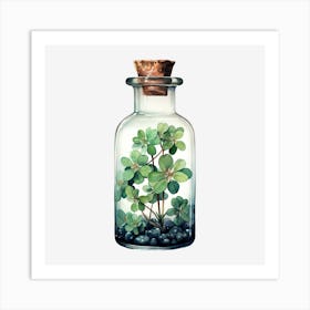 Shamrock In A Bottle Art Print