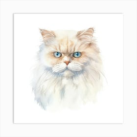 Colorpoint Shorthair Persian Cat Portrait Art Print