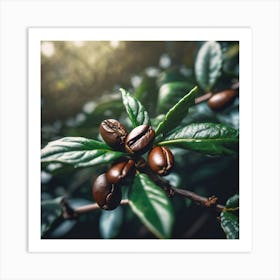 Coffee Beans On A Tree 71 Art Print