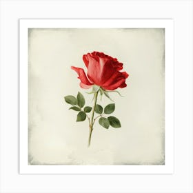 Red Rose 1 Art Print