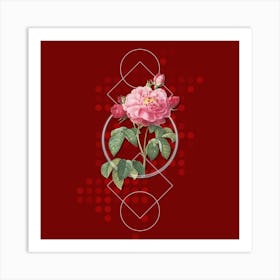 Vintage Duchess of Orleans Rose Botanical with Geometric Line Motif and Dot Pattern n.0293 Art Print