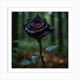 Black Rose In The Forest 1 Art Print