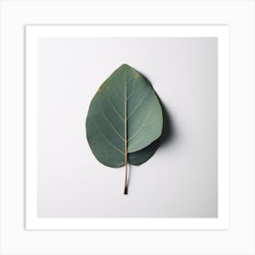 Eucalyptus Leaf 9 Art Print