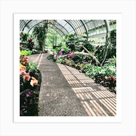 Walk in the gardens Art Print