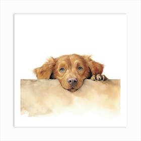 Golden Retriever 14 Art Print