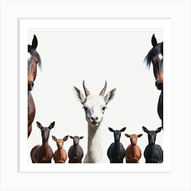 Group Of Horses 1 Art Print