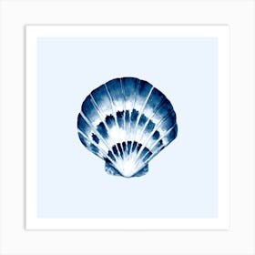 Blue And White Seashell Art Print