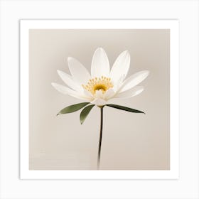 Flower Art Print