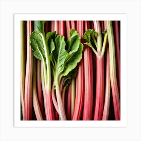 Rhubarb 70 Art Print