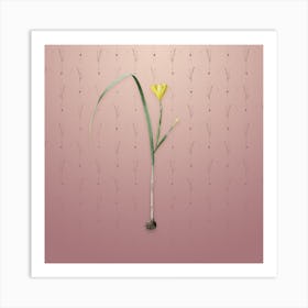 Vintage Cape Tulip Botanical on Dusty Pink Pattern n.1002 Art Print