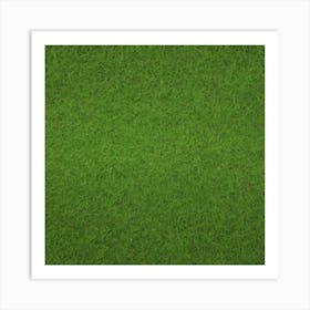 Green Grass Background 21 Art Print