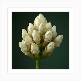 White Flower Art Print