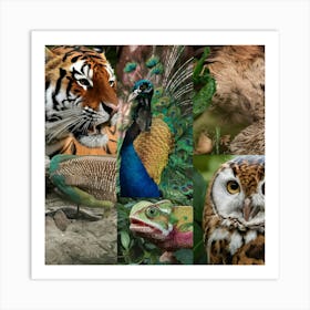 Collage Of Zoo Animals Art Print