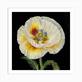 White Poppy Art Print