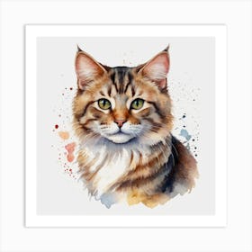 Coon Cat 1 Art Print