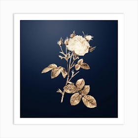 Gold Botanical White Provence Rose on Midnight Navy n.2436 Art Print