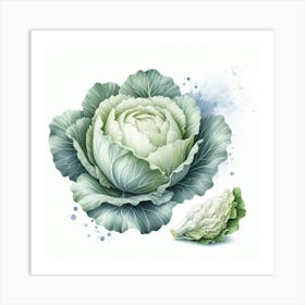 White cabbage 1 Art Print