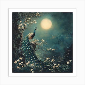 Peacock In The Moonlight 3 Art Print