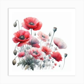 Oriental poppy 2 Art Print