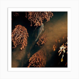 Fish In The Water Art Print