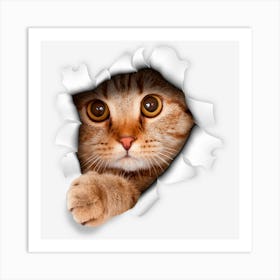 Sweet Kitten Cat Torn 3d Funny Cat Lover Art Print