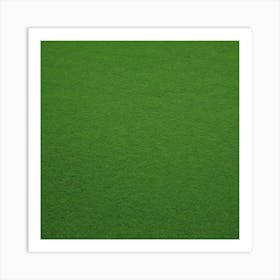 Artificial Grass Background Art Print