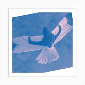 Bird In Flight Art Print