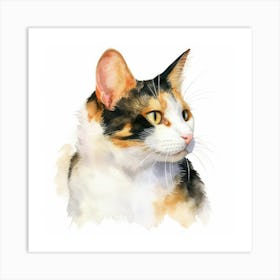 Japanese Bobtail Cat Portrait 3 Art Print