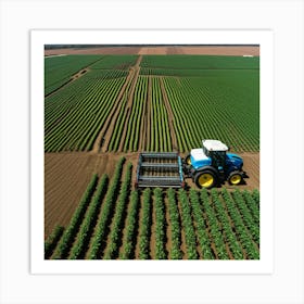 Aerial View Of A Corn Field 1 Art Print