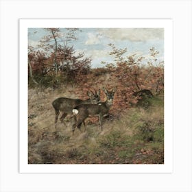 Deer In The Meadow Art Print