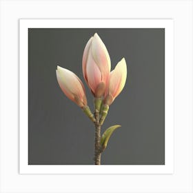 Magnolia Blossom Art Print