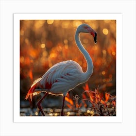 Flamingo 67 Art Print