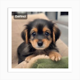 Davinci Puppy Art Print