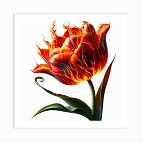 Flame Tulip Art Print