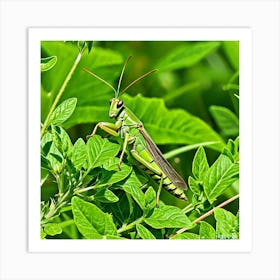 Grasshoppers Insects Jumping Green Legs Antennae Hopper Chirping Herbivores Garden Fields (6) 1 Art Print