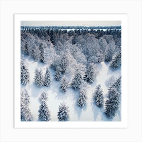 Aerial View Of A Winter Forest Art Print