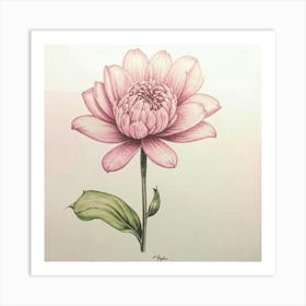 Chrysanthemum 1 Art Print