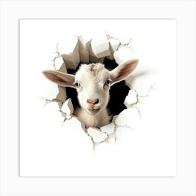 Goat Through A Hole 2 Art Print