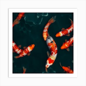 Koi Fish 87 Art Print