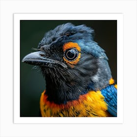 Bird'S Head Art Print