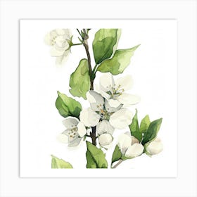 Apple Blossoms 2 Art Print