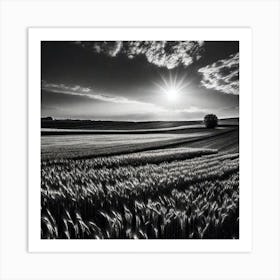 Black And White Photography 14 Art Print