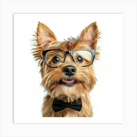 Yorkshire Terrier In Glasses Art Print