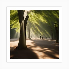 Sunlight In A Park Art Print