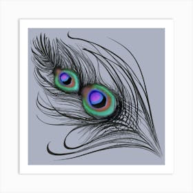 Peacock Feathers Wall Art Art Print